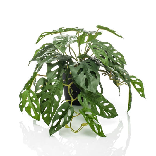 Konstgjord växt monstera Monkey Bush i kruka 55 cm