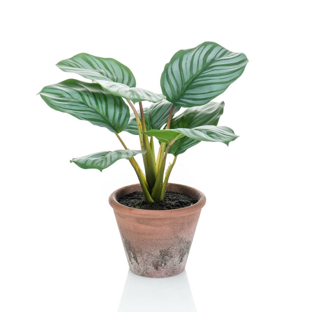 Konstgjord Konstväxt Calathea Orbifolia Terra i kruka 32 cm