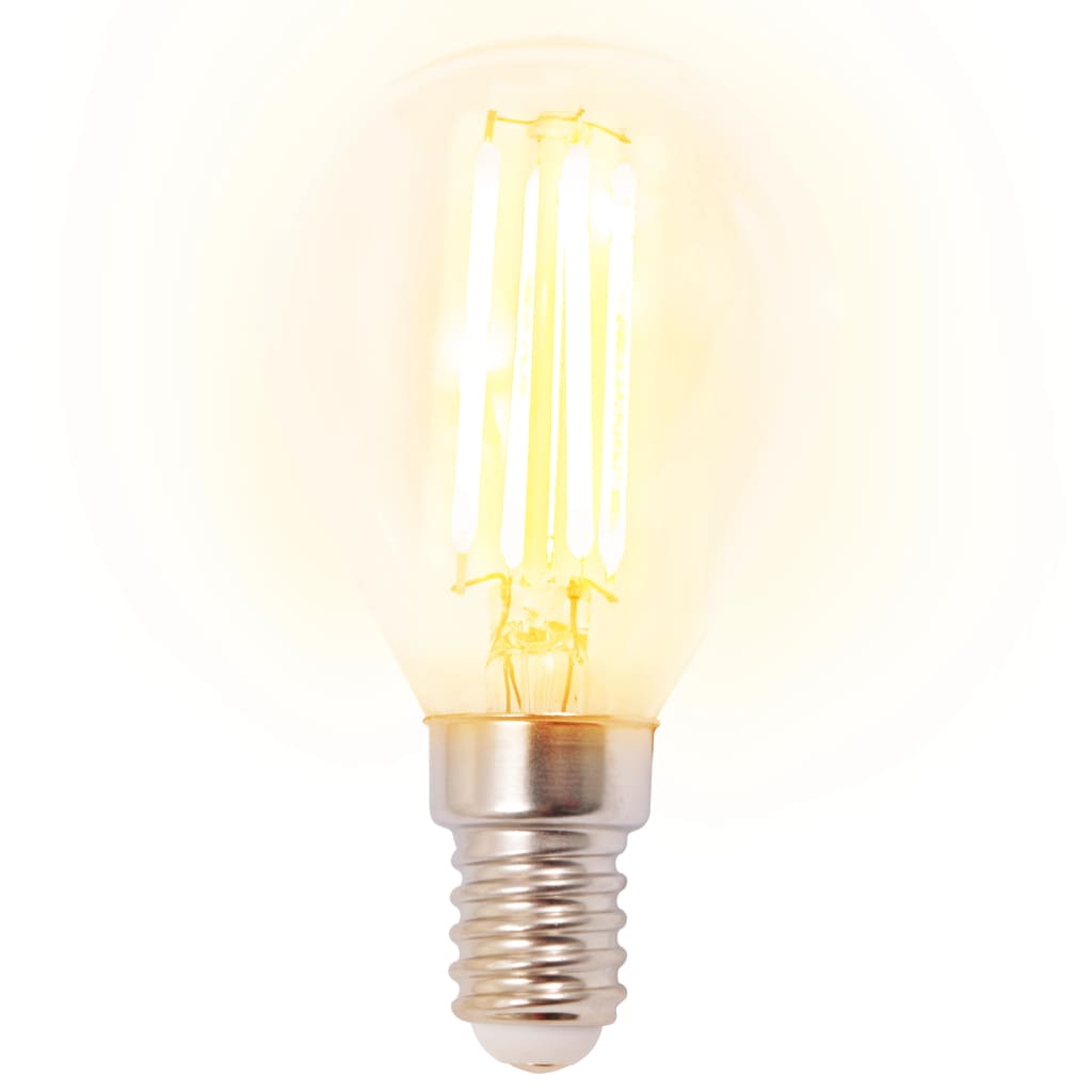 Kattolamppu 2 LED-hehkulampulla 8 W