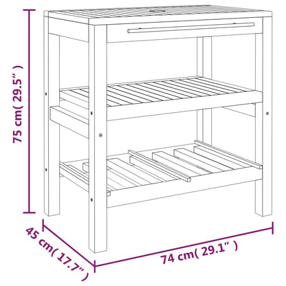 Badrumsunderskåp med 2 hyllor 74x45x75 cm massiv trä