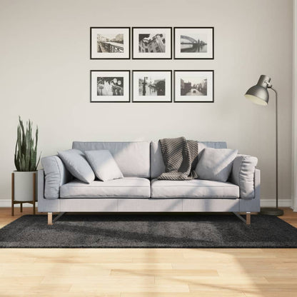 Golvmatta antracit Ryamatta PAMPLONA lång lugg modern 100x200 cm