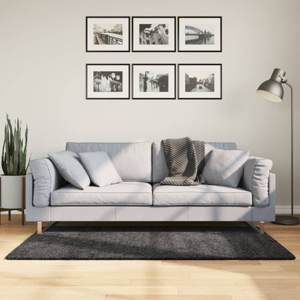 Golvmatta antracit Ryamatta PAMPLONA lång lugg modern 120x170 cm