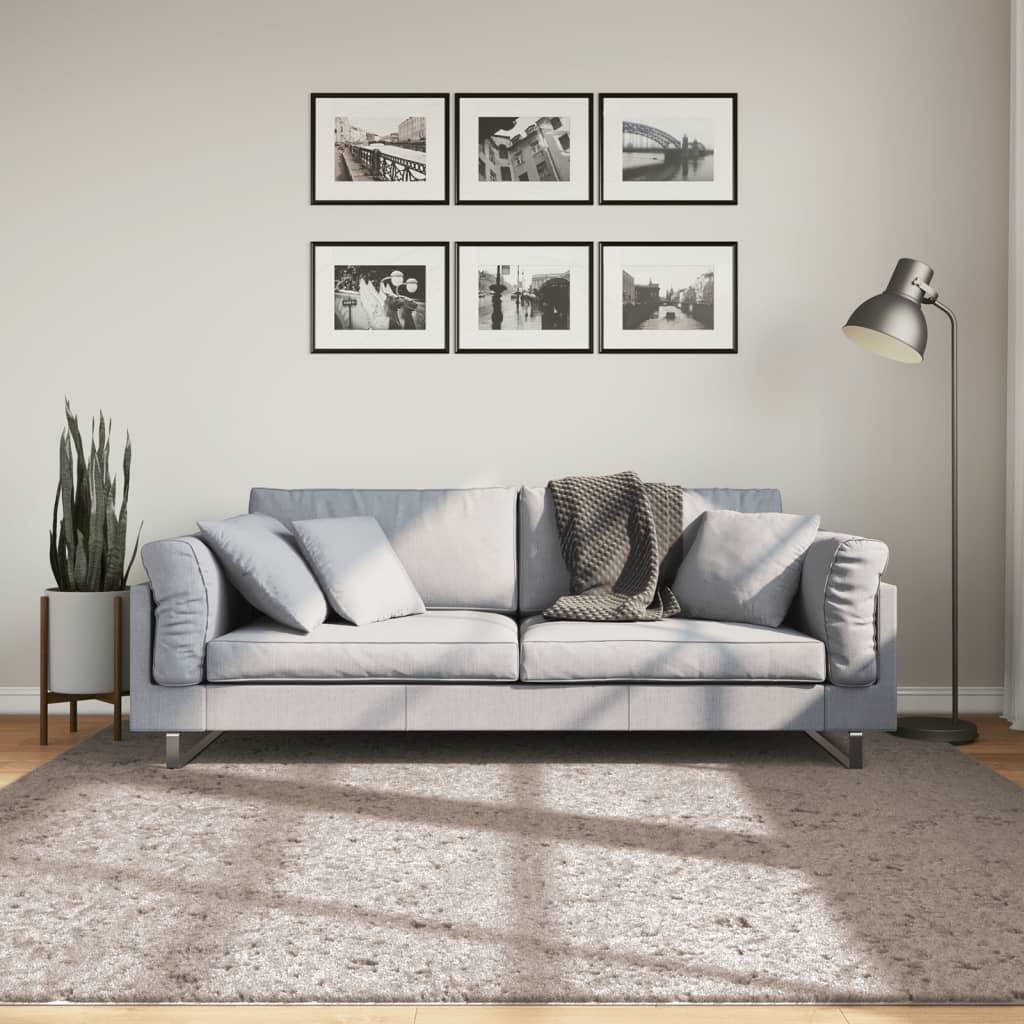 Lattiamatto Ryamatta PAMPLONA pitkä nukka moderni beige 200x200 cm