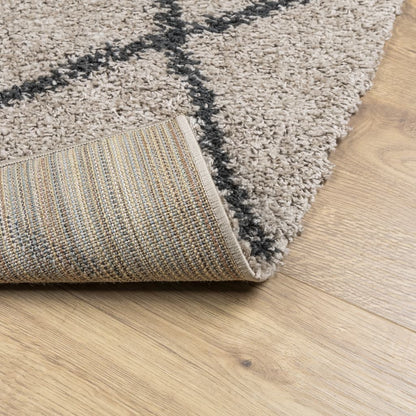 Golvmatta antracit Ryamatta PAMPLONA lång lugg modern beige & 160x230 cm