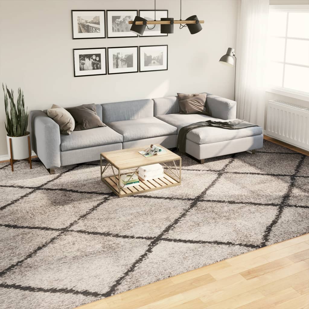 Lattiamatto Ryamatta PAMPLONA pitkä nukka moderni beige &amp; antrasiitti 300x400 cm